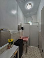 31677373
