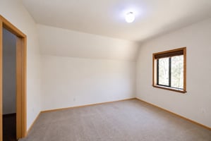32336044