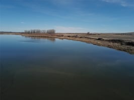 31677788