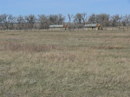 31677741