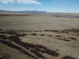 31677790