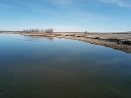 31677784