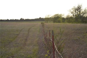 32646939