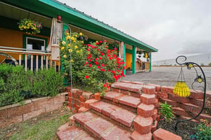 31681335