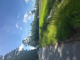 31685540
