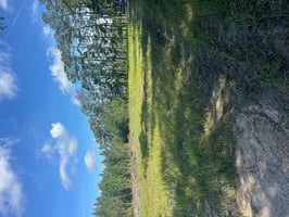 31685534