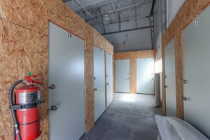 31686081