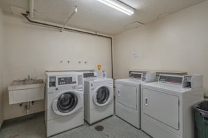 31687018