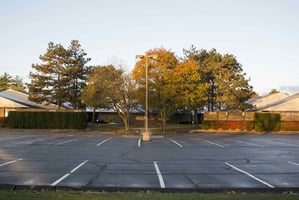 32645538