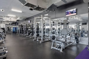 31687923