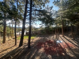 31687261