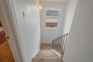 31687241