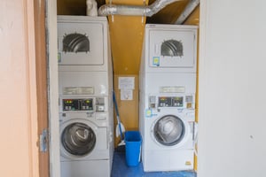 31687246
