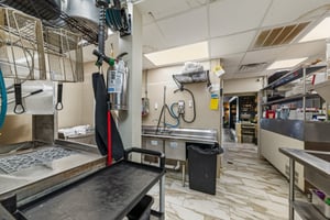 31687552