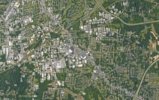 31687843