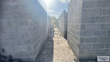 31689529