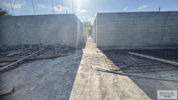 31689530