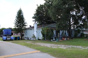31691620
