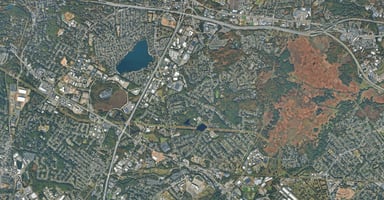 31692351