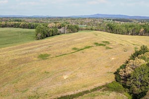 31692766