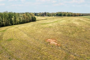 31692754