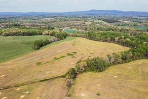 31692763