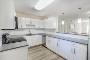 31693744