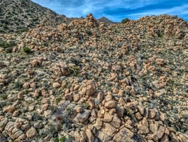 31697366