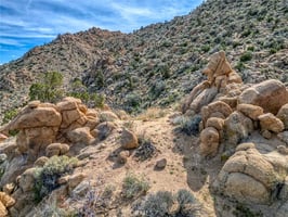 31697375