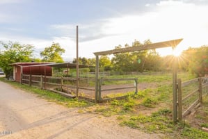 31697536