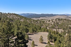 31698451