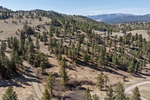 31698462