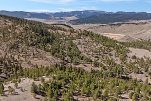 31698471