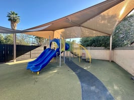 31698336