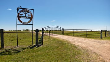 31698606