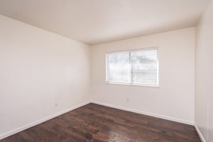 31699365