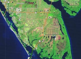 31700409