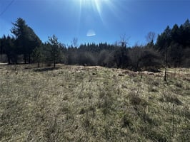 31700659