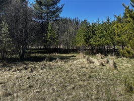 31700672