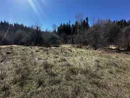 31700658