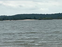 31701026
