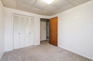 31703772