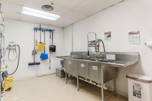 31705539