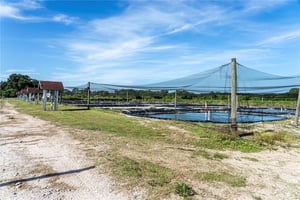 31706959