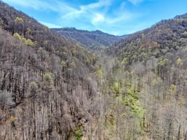 31755406