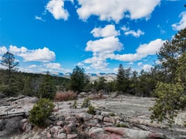 31715588