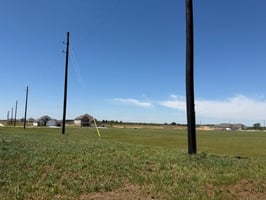 31716866