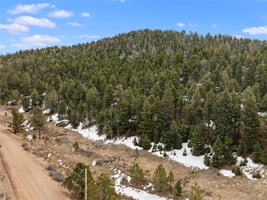 31716235