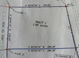 31741162