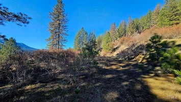 31734309
